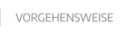 VORGEHENSWEISE